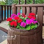 Legowska Dolina 公寓 *