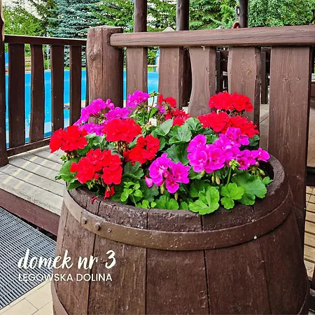 Legowska Dolina شقة *